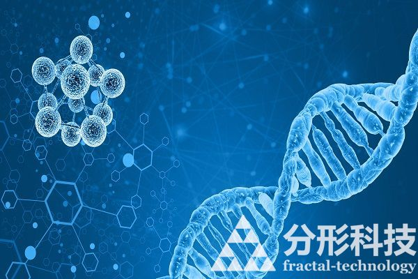 醫(yī)院網(wǎng)站建設(shè)公司：為您提供一站式醫(yī)療服務(wù)平臺(tái)